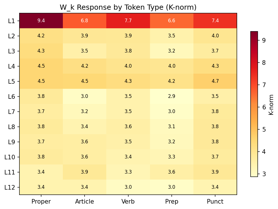 Wk response by token type across layers